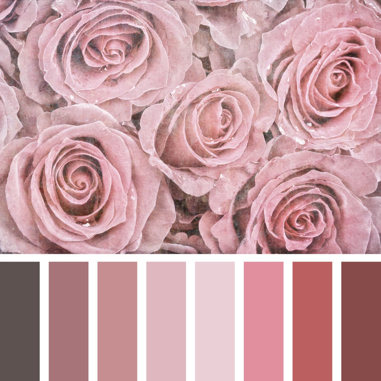 wedding color palette
