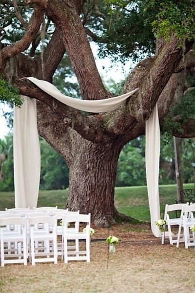 neutral wedding arch